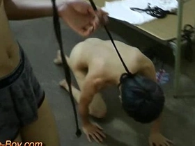 Asian twink in BDSM bondage and doggy style training